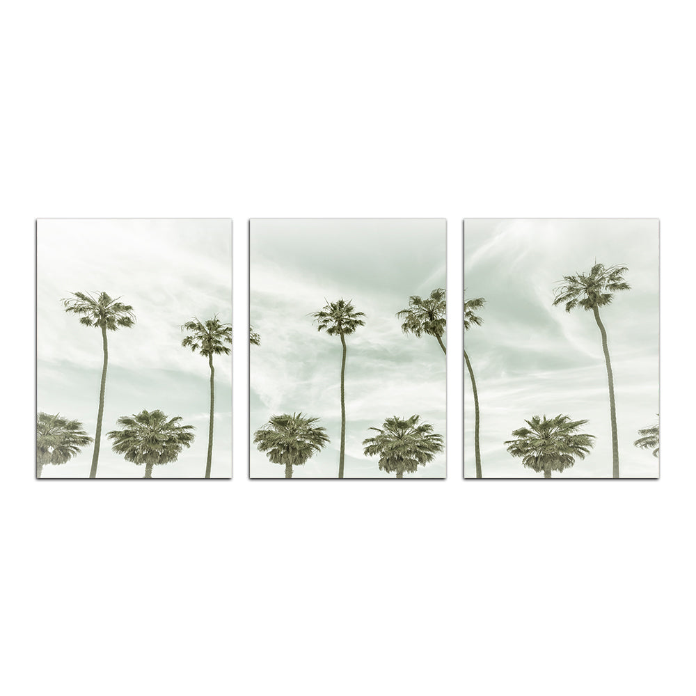 Stunning Palm Trees and Clouds Wall Art by Melanie Viola
