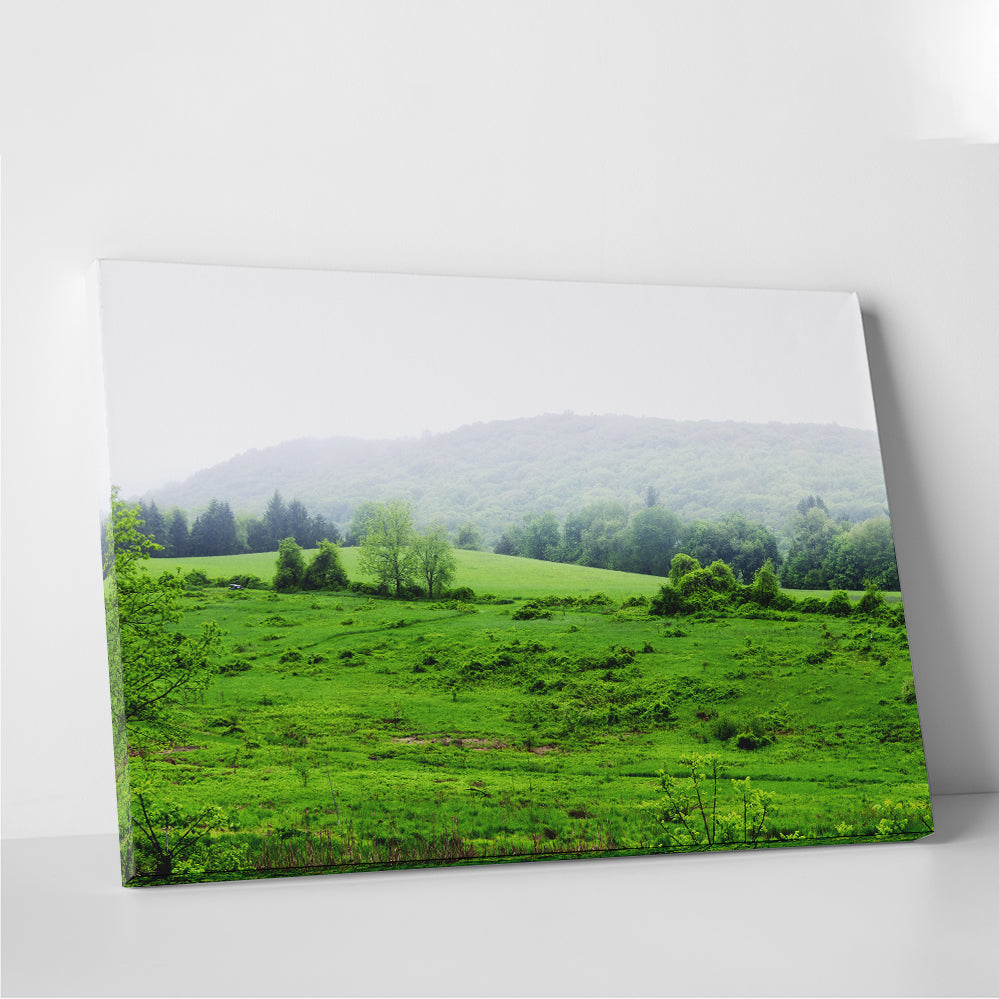 Tarrywile Park Stunning Wall Art for Your Home