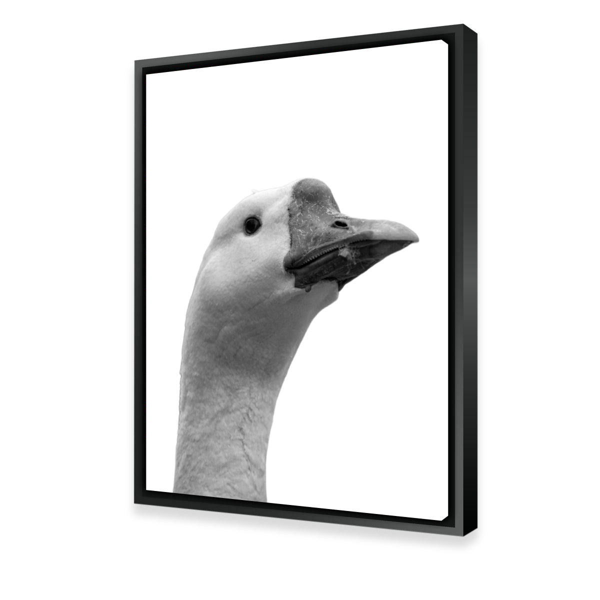 Exquisite Goose Head Wall Art by Lawisi