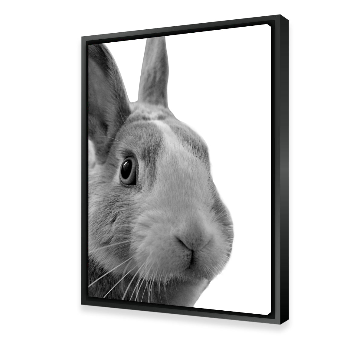 Charming Funny Rabbit Wall Art by Lawisi