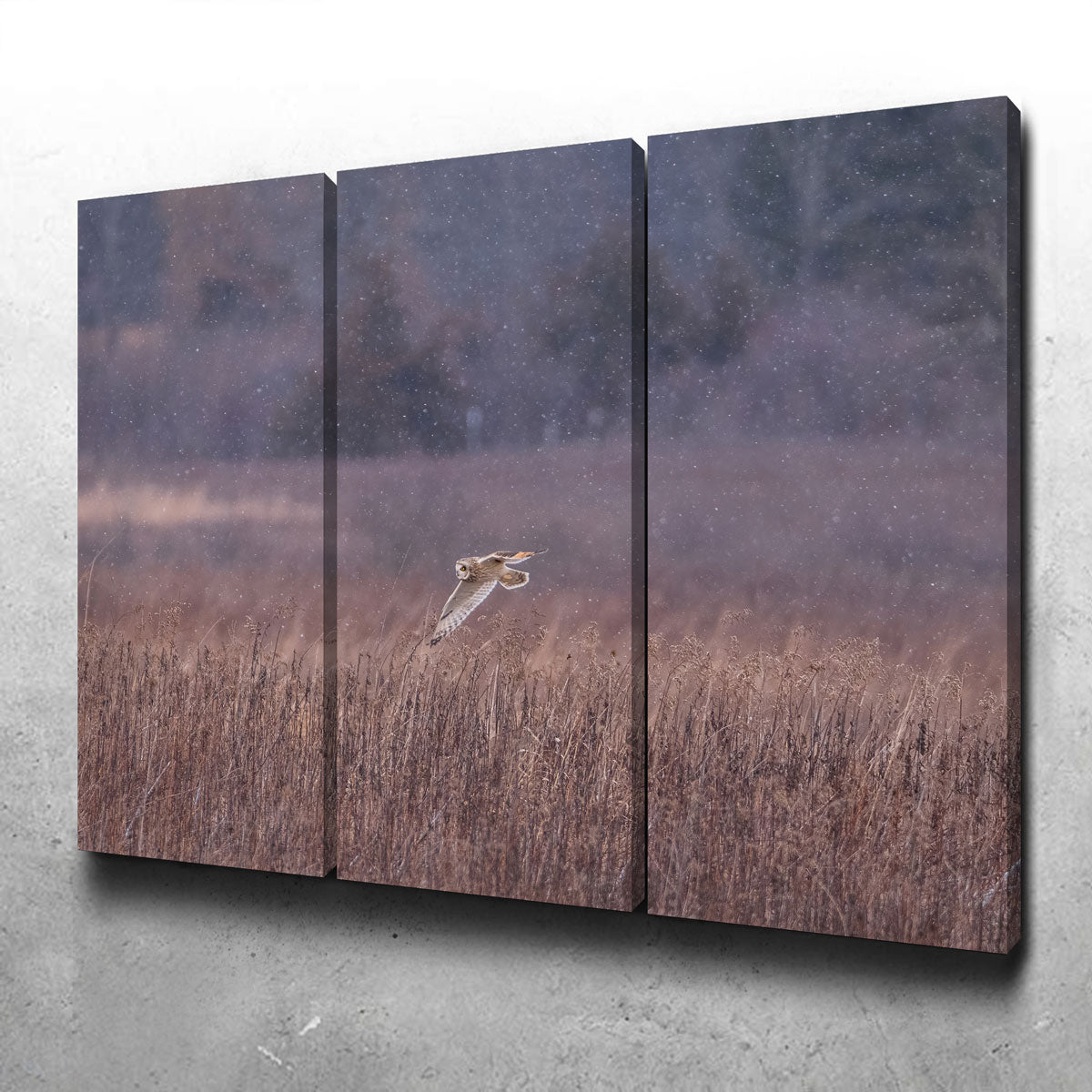Stunning Owl in the Snow Wall Art by Dennis Maida