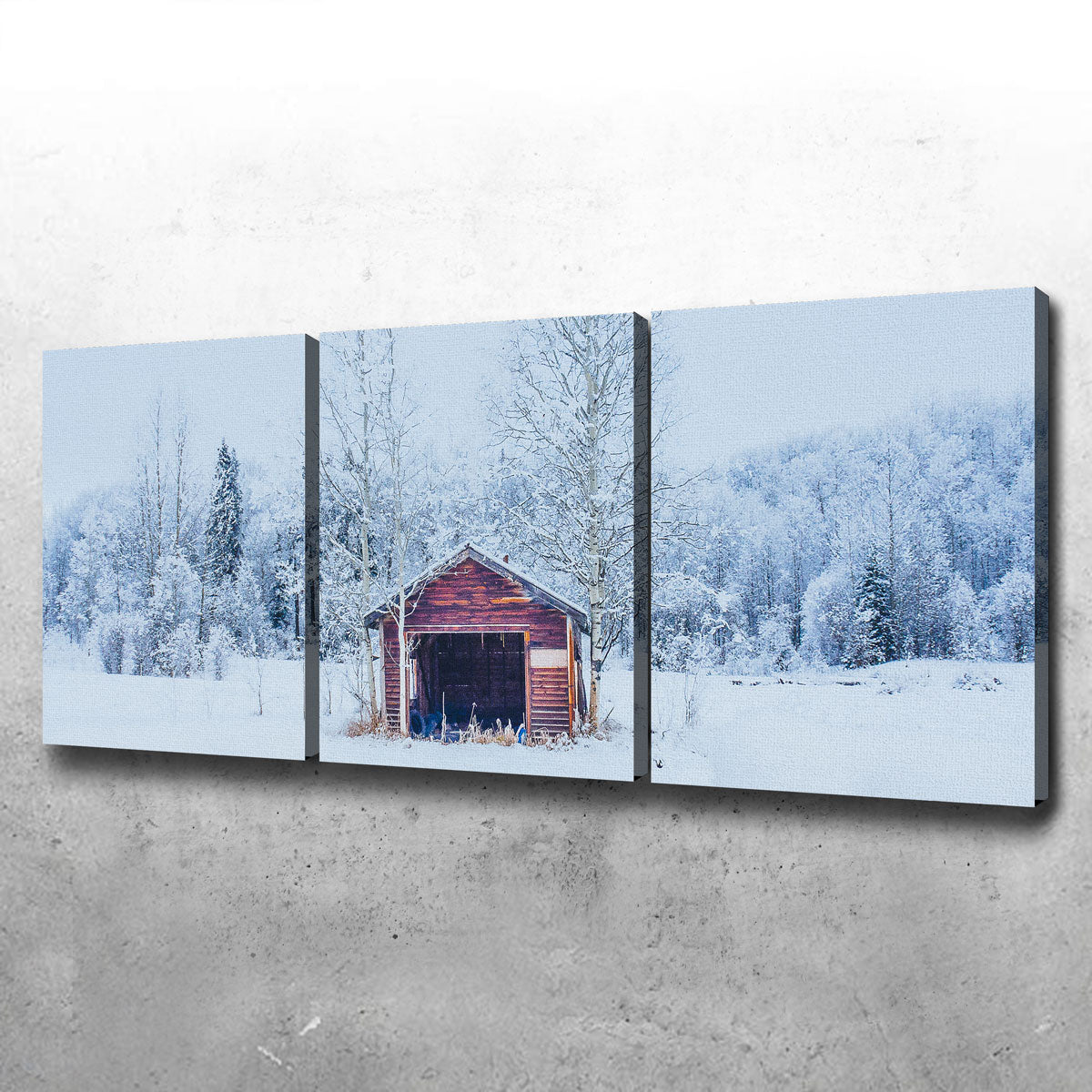 Unique Abandoned Shed Wall Art by Mike Cotton