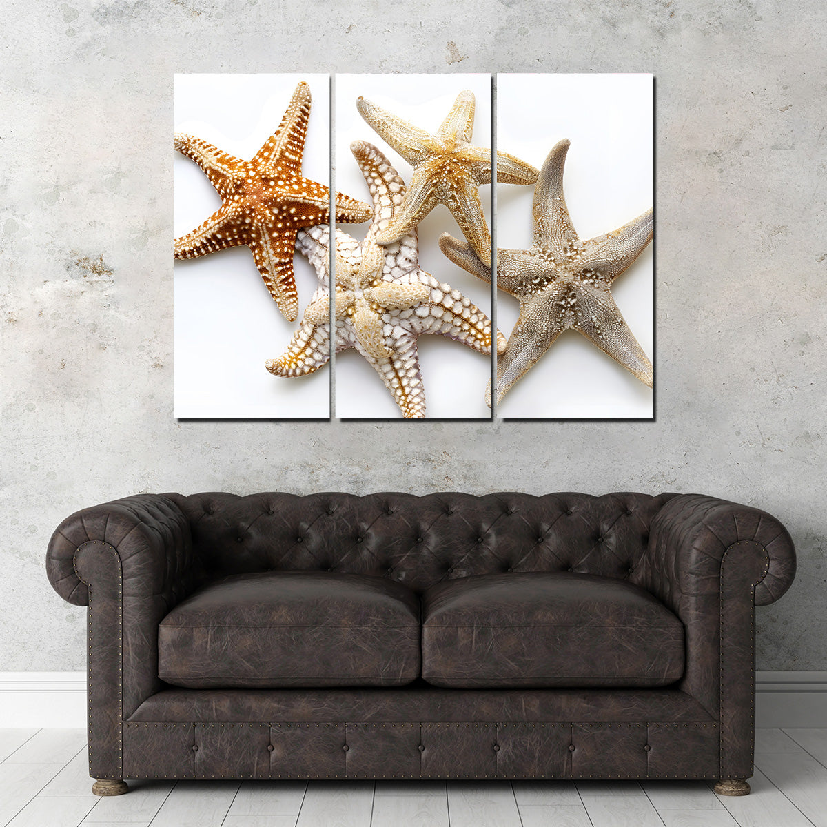 Gorgeous Starfishes Wall Art for Stunning Home Decor