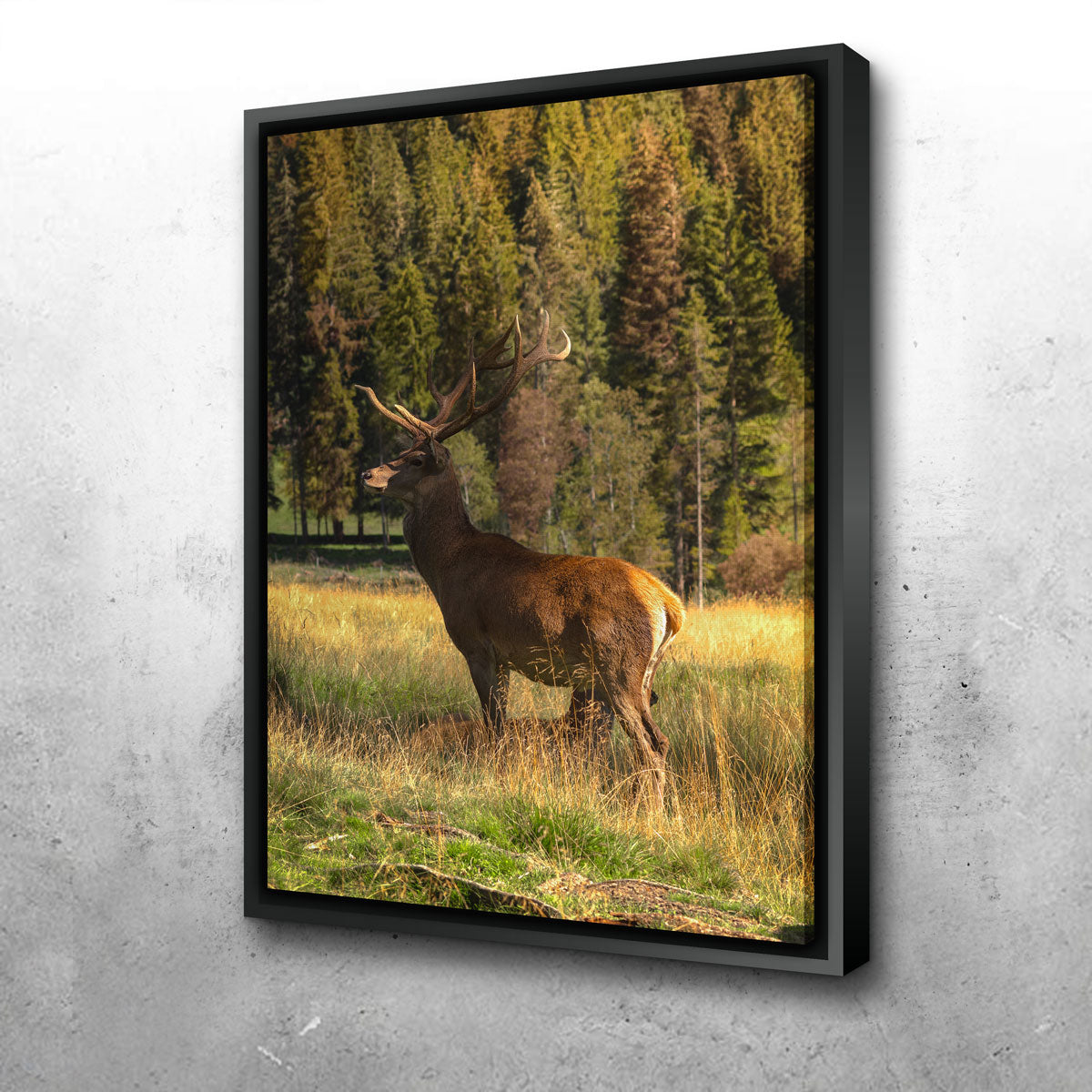 Exquisite Deer Wall Art by Enzo Romano