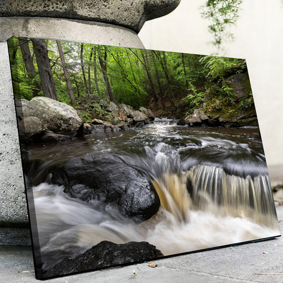 Stunning Summer Black River Wall Art for Home Decor