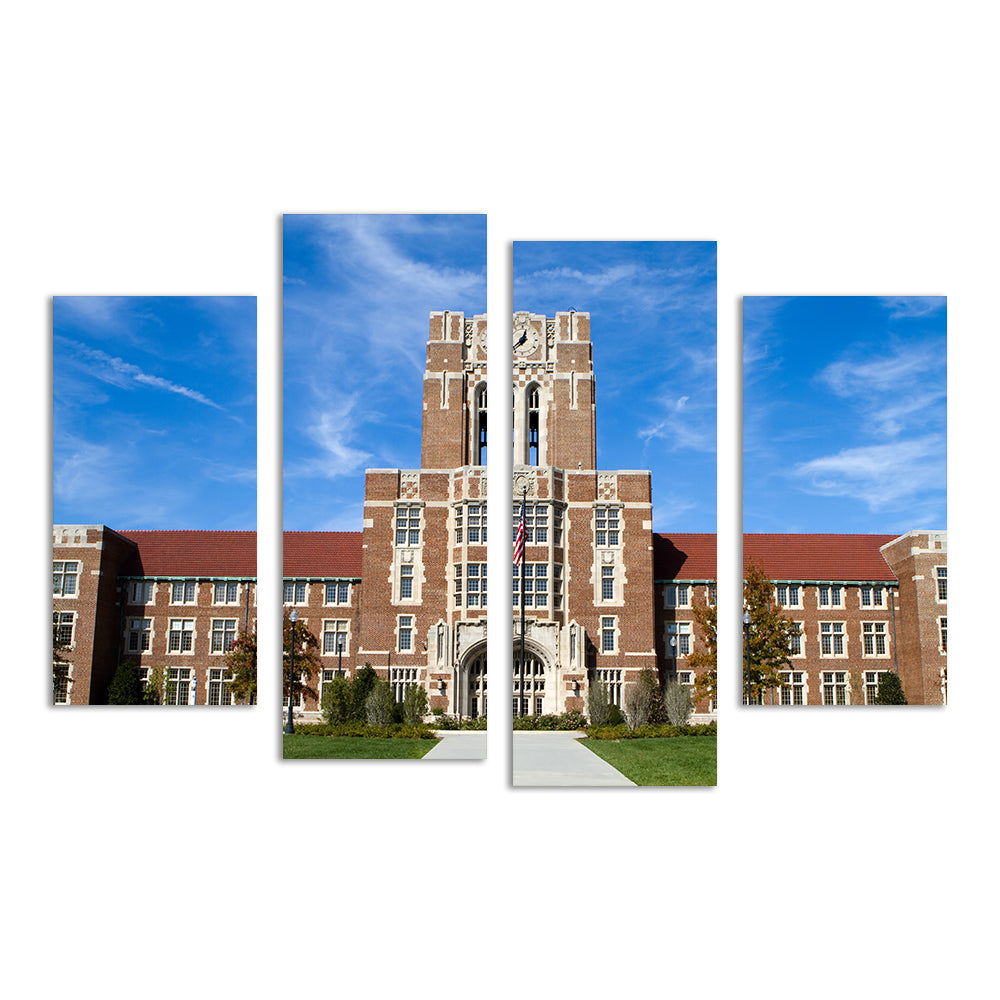 Stunning University of Tennessee Hill Wall Art - Ideal Decor for College Fans