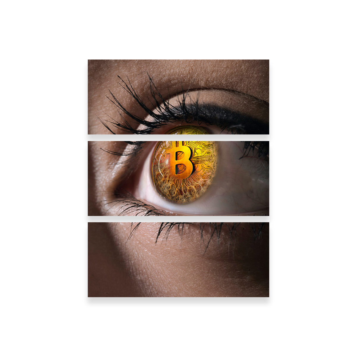 Eye - Catching Bitcoin Wall Art for Modern Spaces