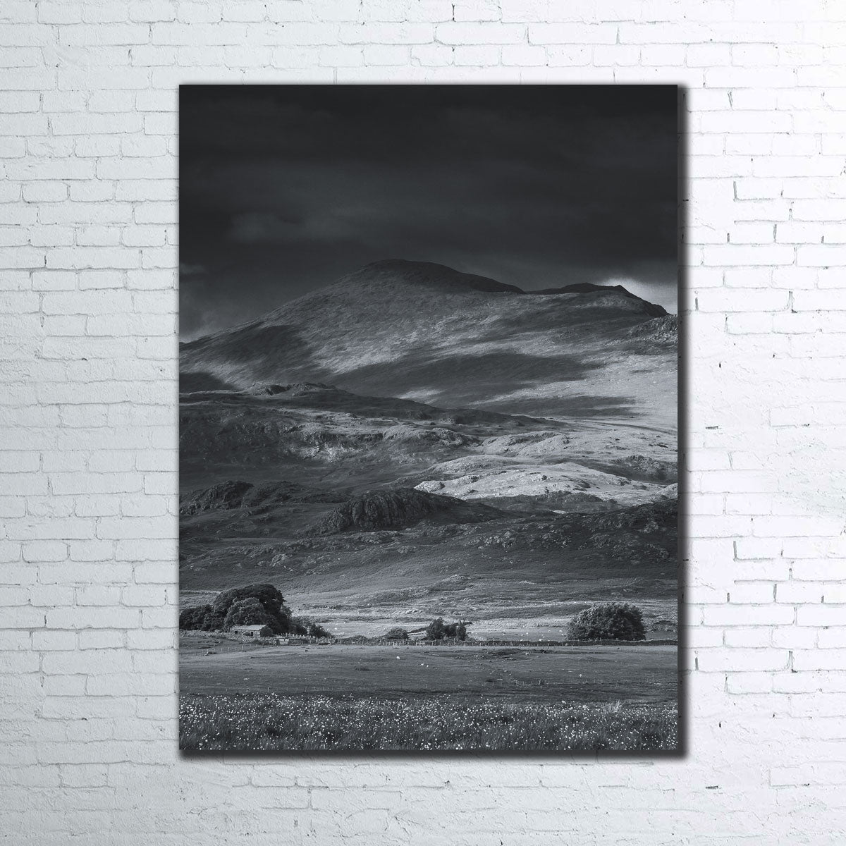 Breathtaking Prairie to Peak Wall Art by Mike Cotton