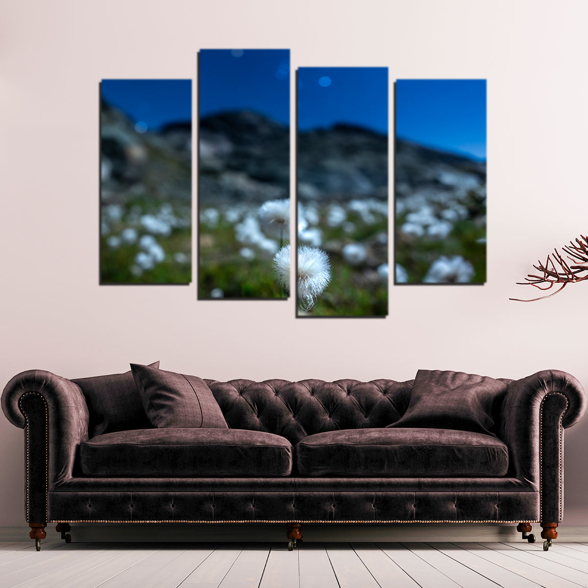 Exquisite Star Studded Linaigrette Wall Art by Jeff Graphy