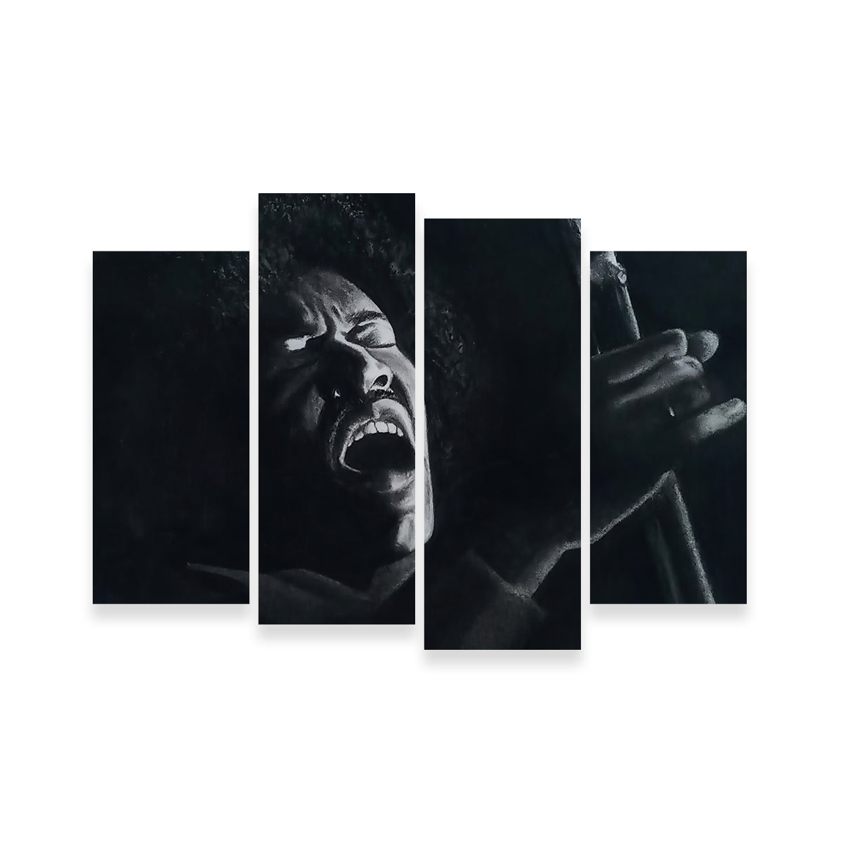 Stunning Jimi Wall Art by Patricia Jaggie