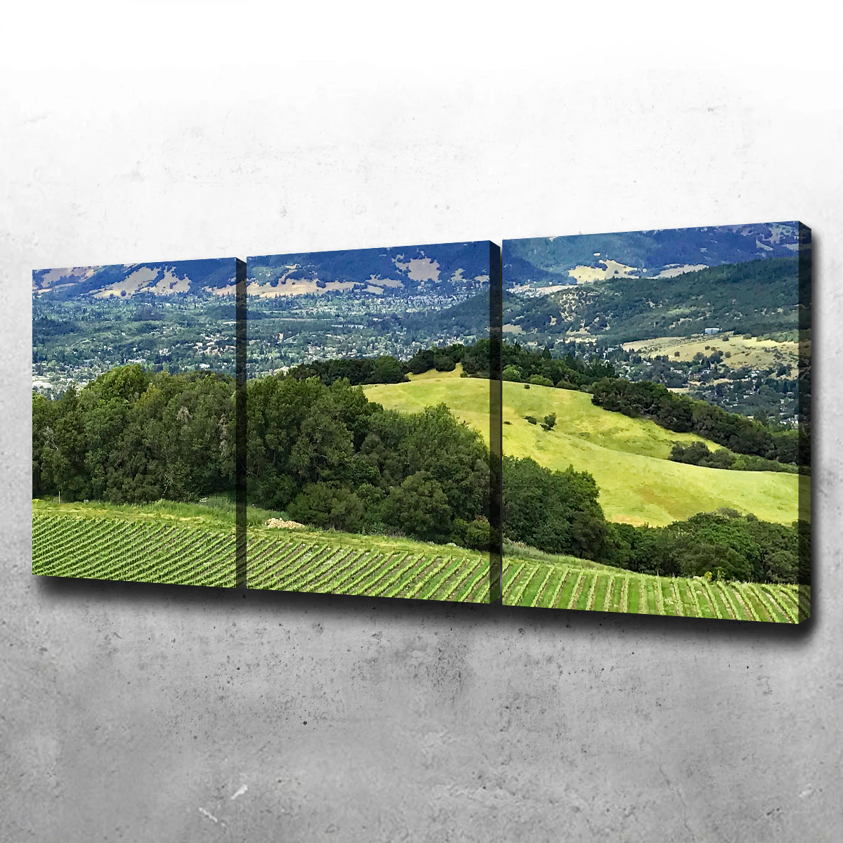 Stunning Rolling Hills and Vineyards of Sonoma County Wall Art for Your Home Decor