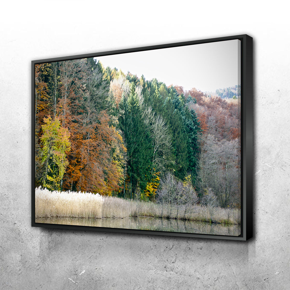 Exquisite Seasons Wall Art by David Campbell