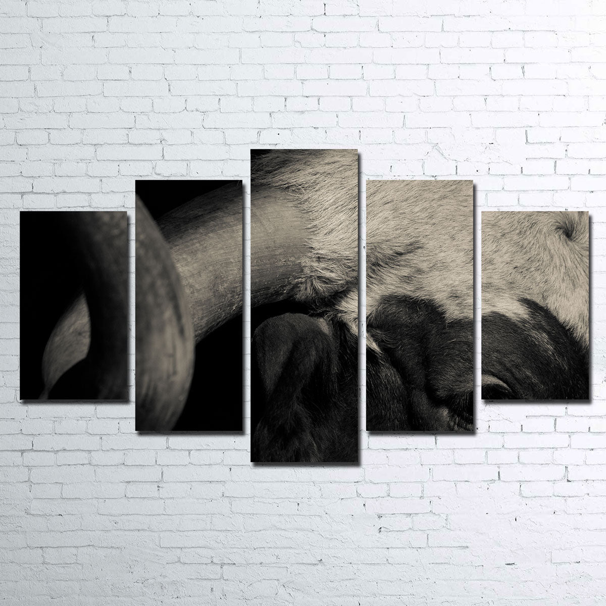 Stunning Texas Longhorn Cow Wall Art for Your Home Decor