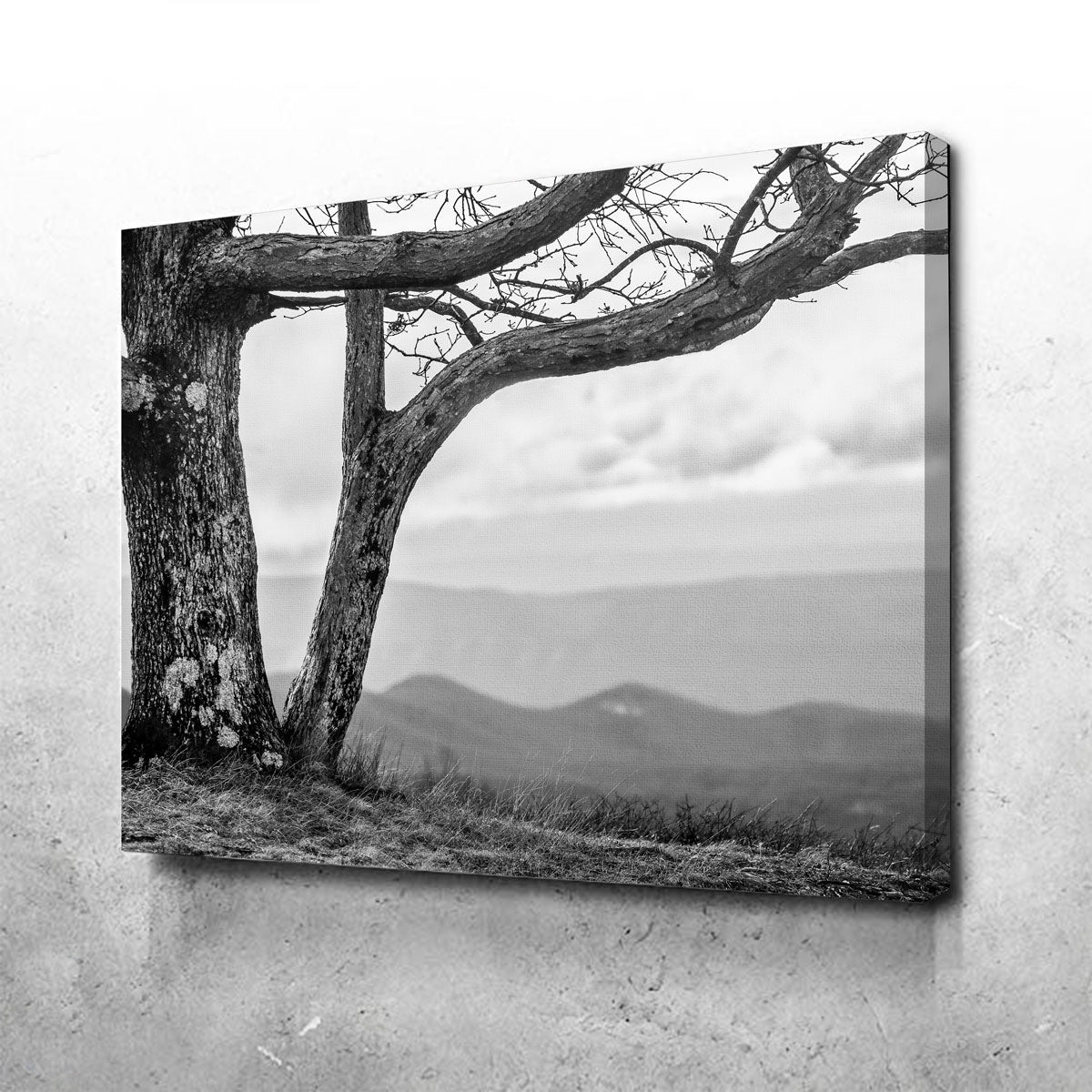 Stunning Desolate Limbs Wall Art by Dennis Maida