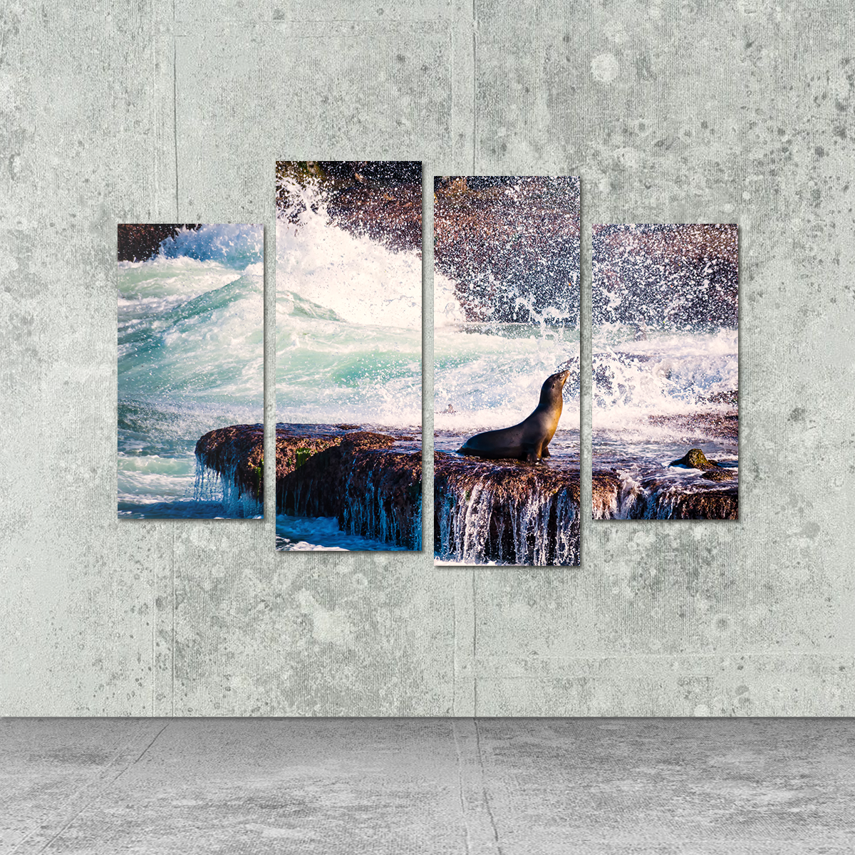 Stunning Sea Lion Surf La Jolla Wall Art for Coastal Home Decor