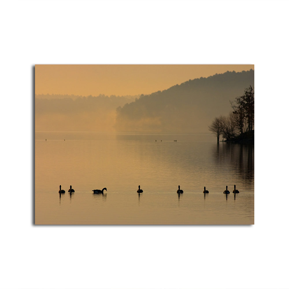 Stunning Geese on Lake Degray Wall Art for Your Home Decor