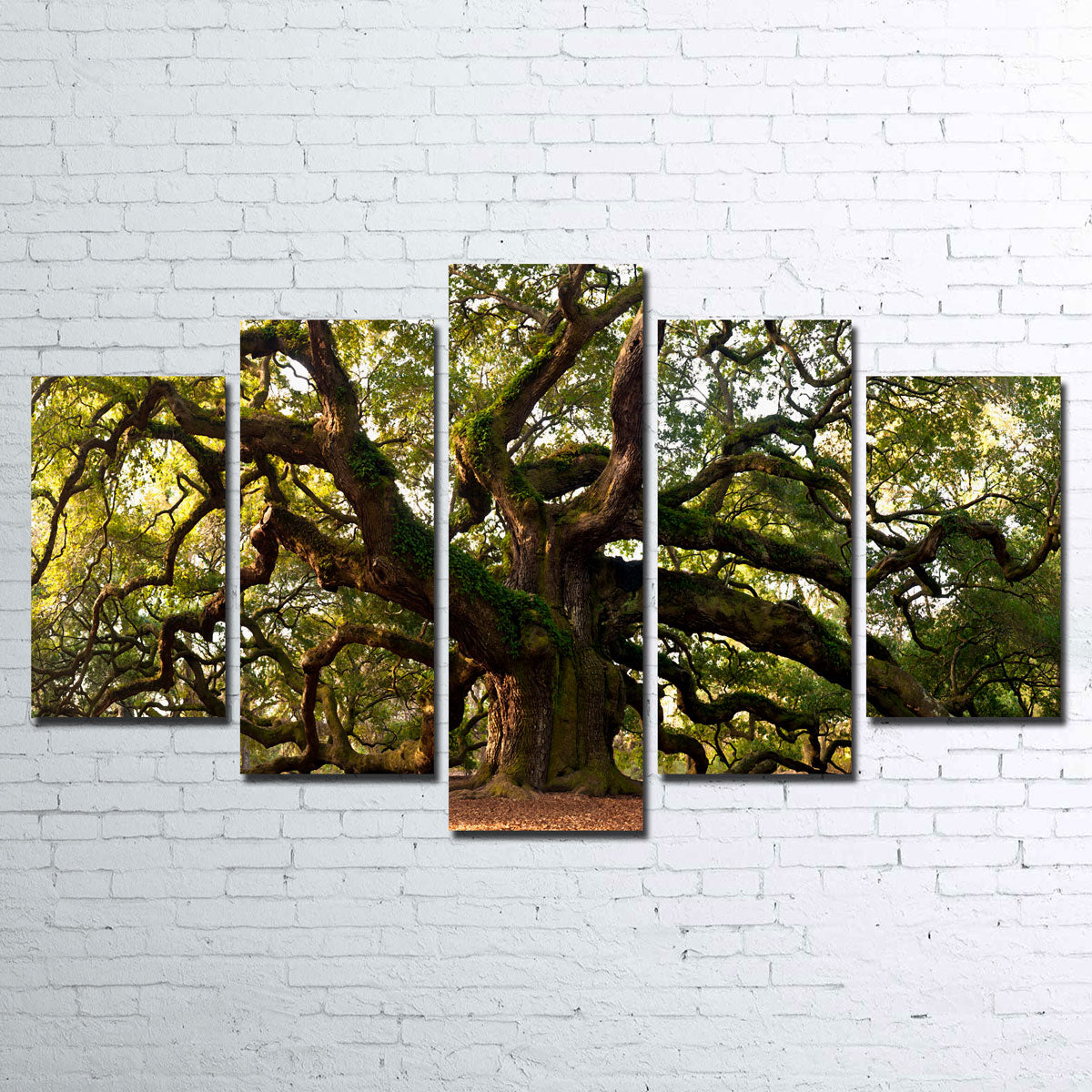 Exquisite Charleston Angel Oak Wall Art for Stunning Home Decor