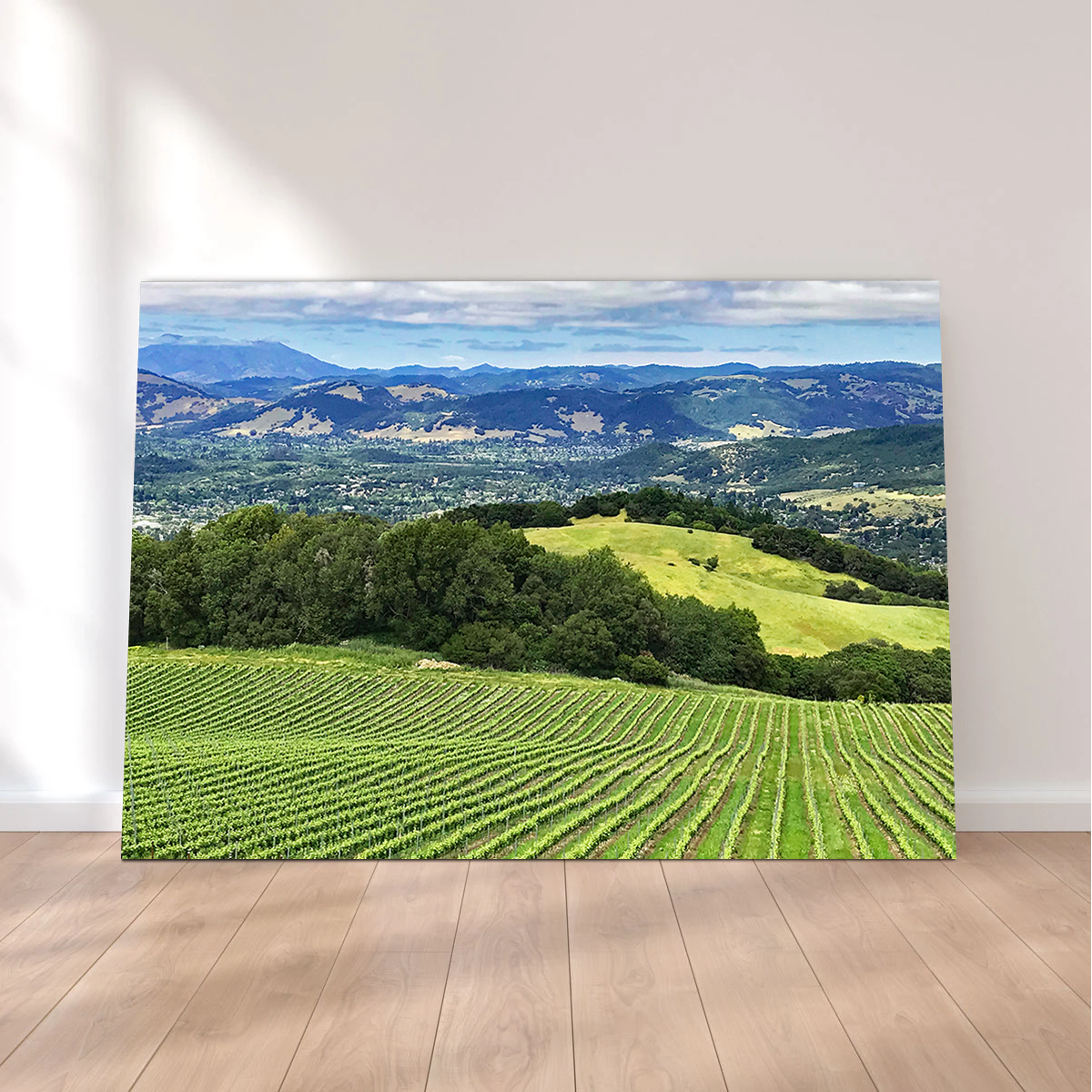 Stunning Rolling Hills and Vineyards of Sonoma County Wall Art for Your Home Decor