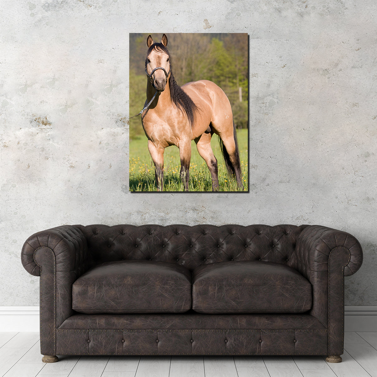 Stunning Quarter Horse Posing Wall Art for Horse Lovers