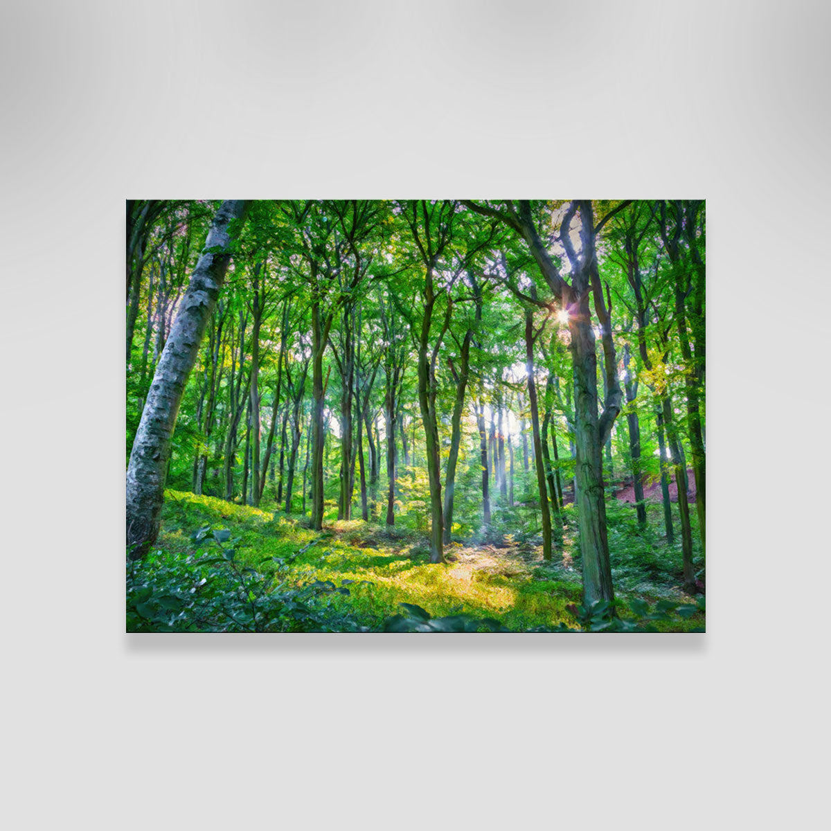 Gorgeous Emerald Forest Wall Art by Denise Dundon