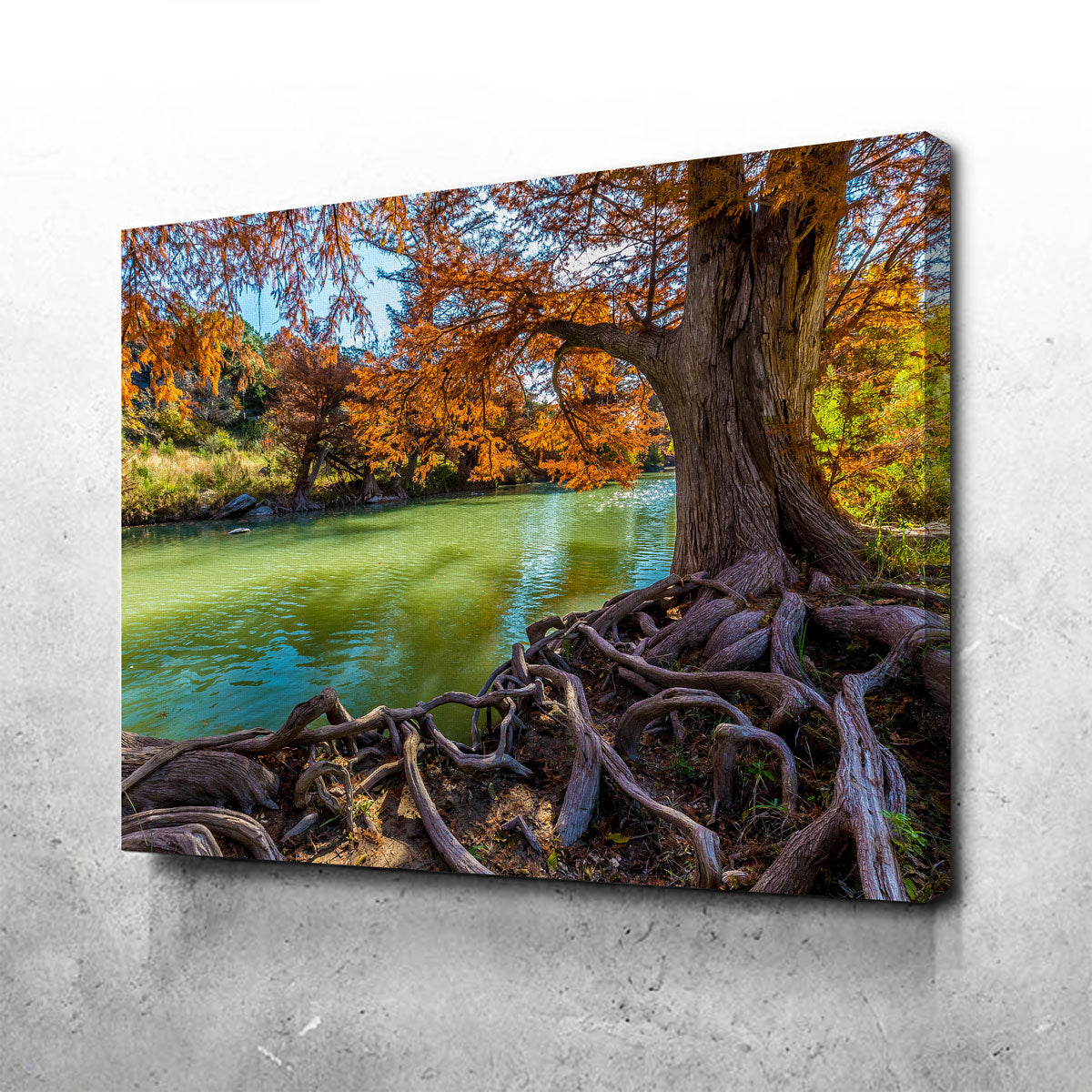Stunning Guadalupe State Park Wall Art - Museum Quality Canvas
