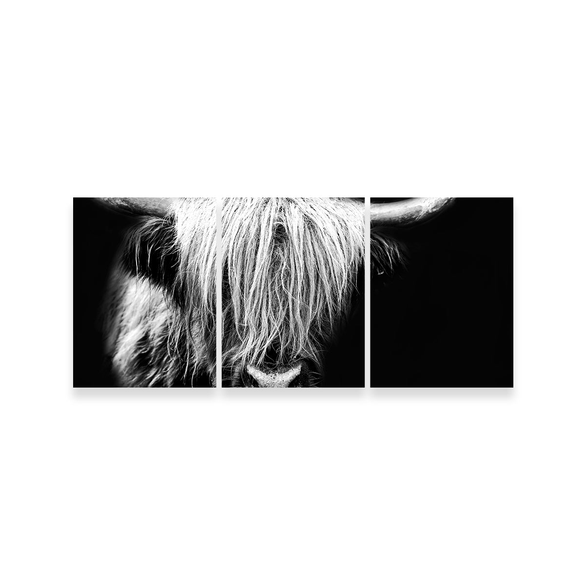 Stunning Grayscale Highland Cow Wall Art for Your Home Decor