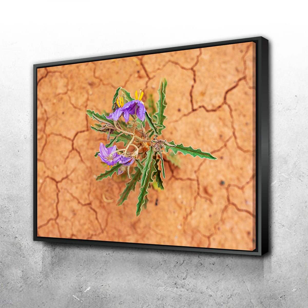 Gorgeous Purple Desert Wild Flowers Wall Art for Stunning Decor