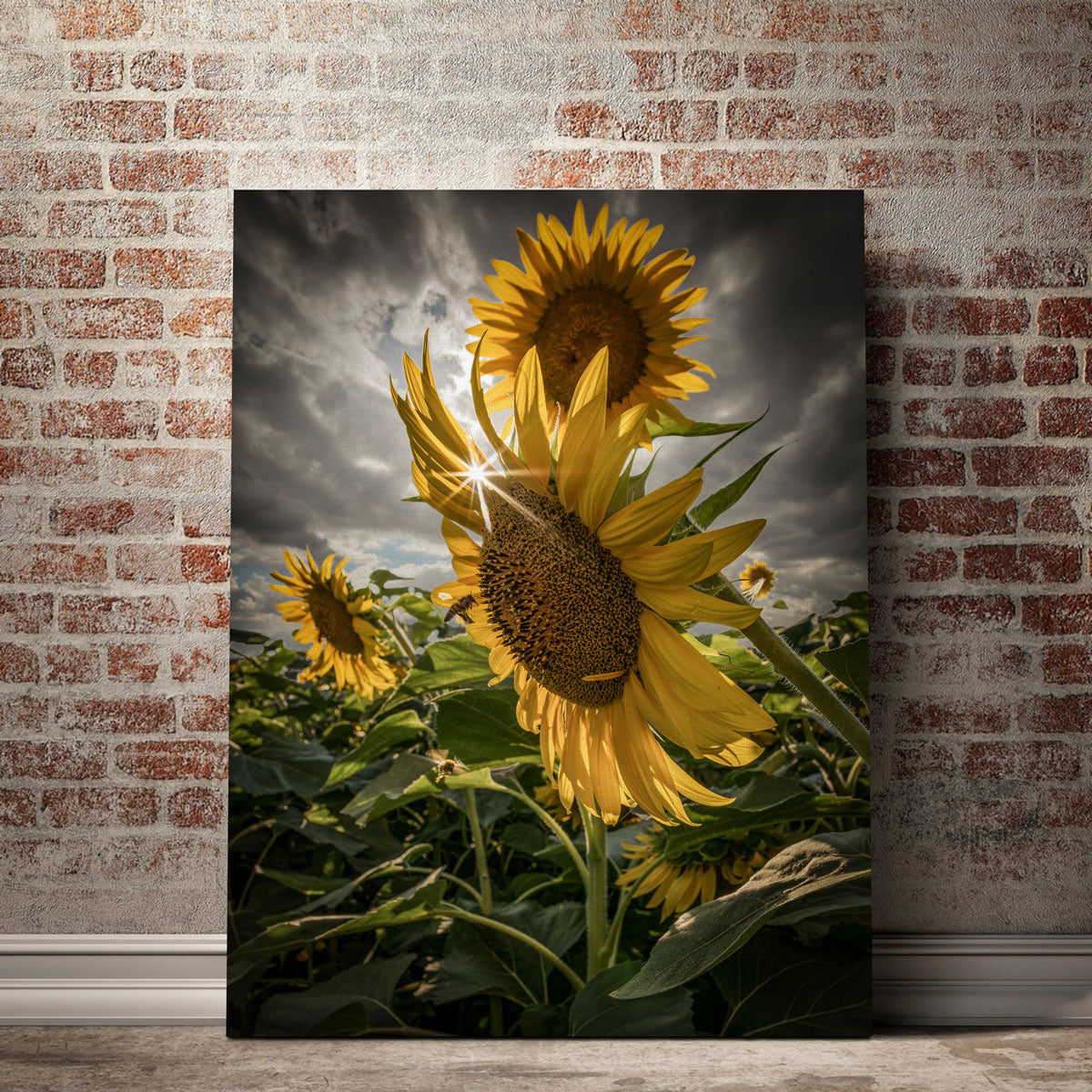 Stunning Cloudy Sunflowers Wall Art for Your Home Decor