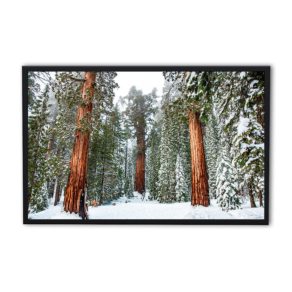 Kyle Sherry's Exquisite General Panoramic Wall Art