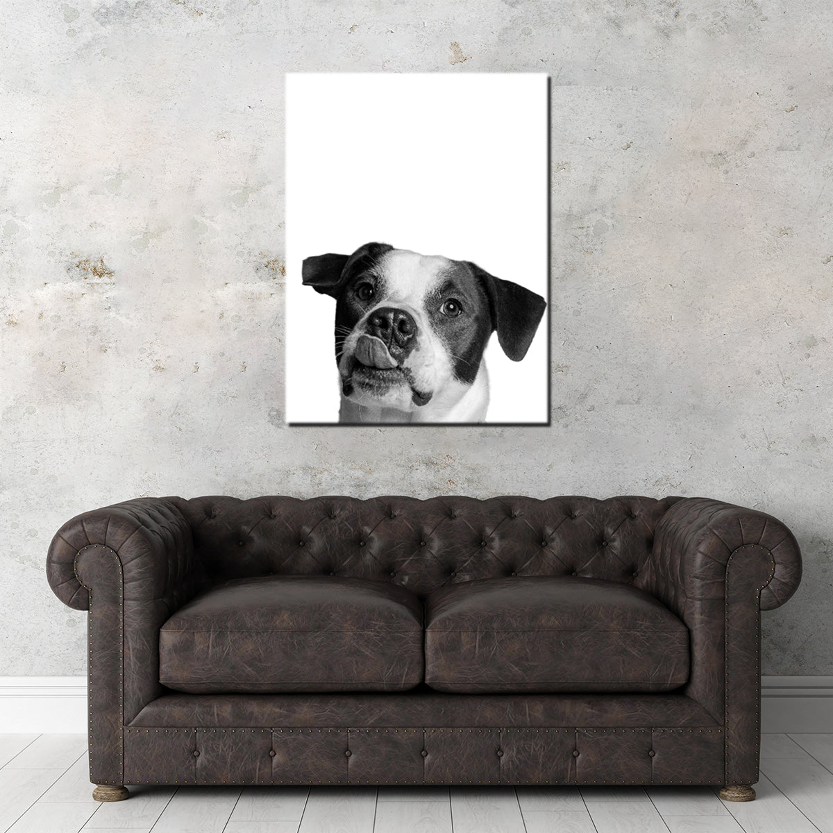 Stylish Dog Wall Art by Lawisi