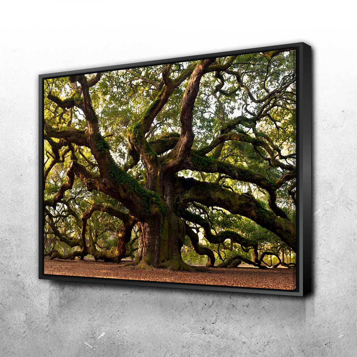 Exquisite Charleston Angel Oak Wall Art for Stunning Home Decor