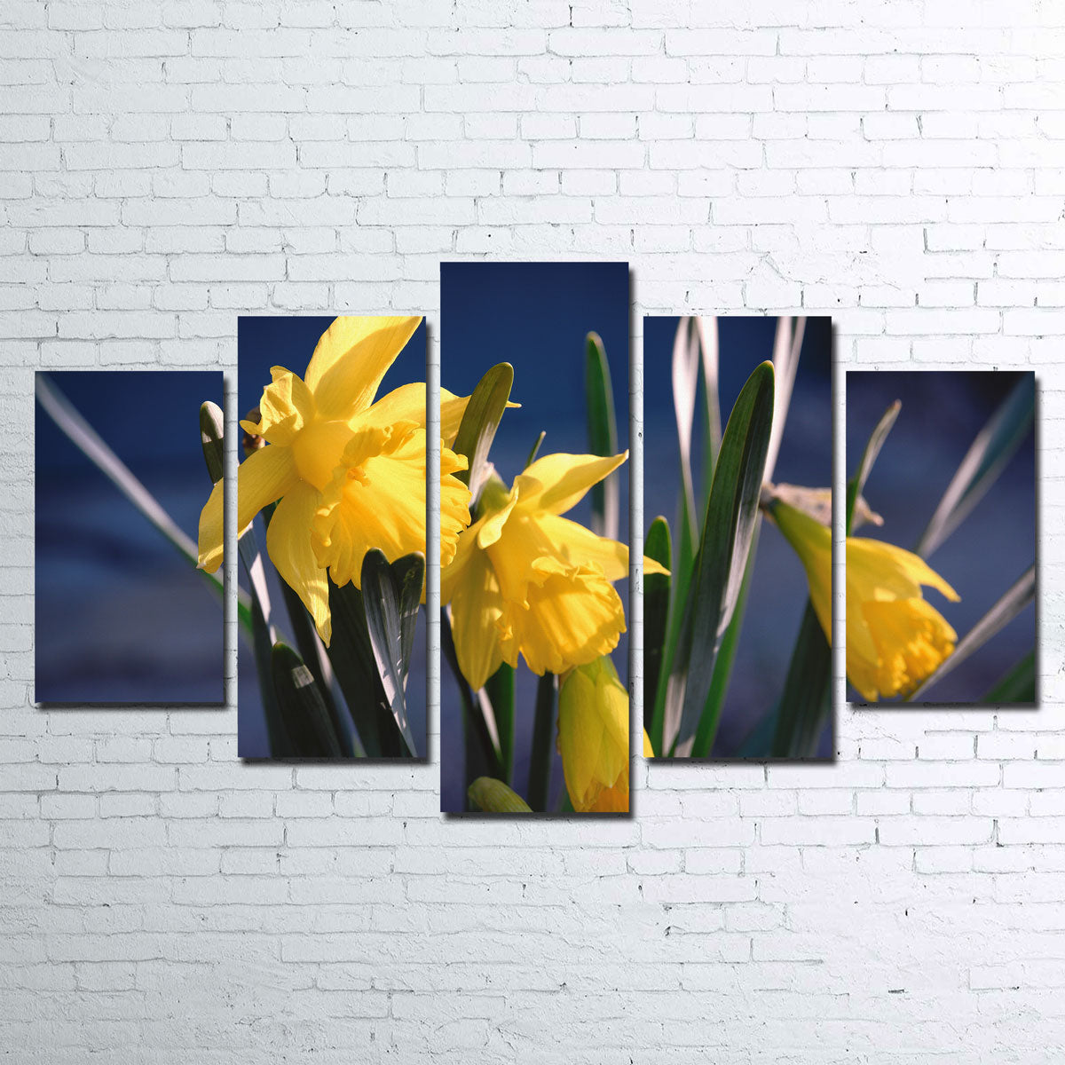 Gorgeous Spring Bloom Wall Art by Shaun Mayer