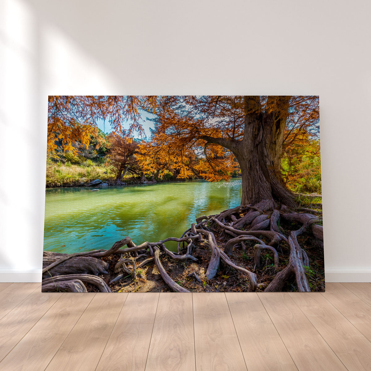 Stunning Guadalupe State Park Wall Art - Museum Quality Canvas
