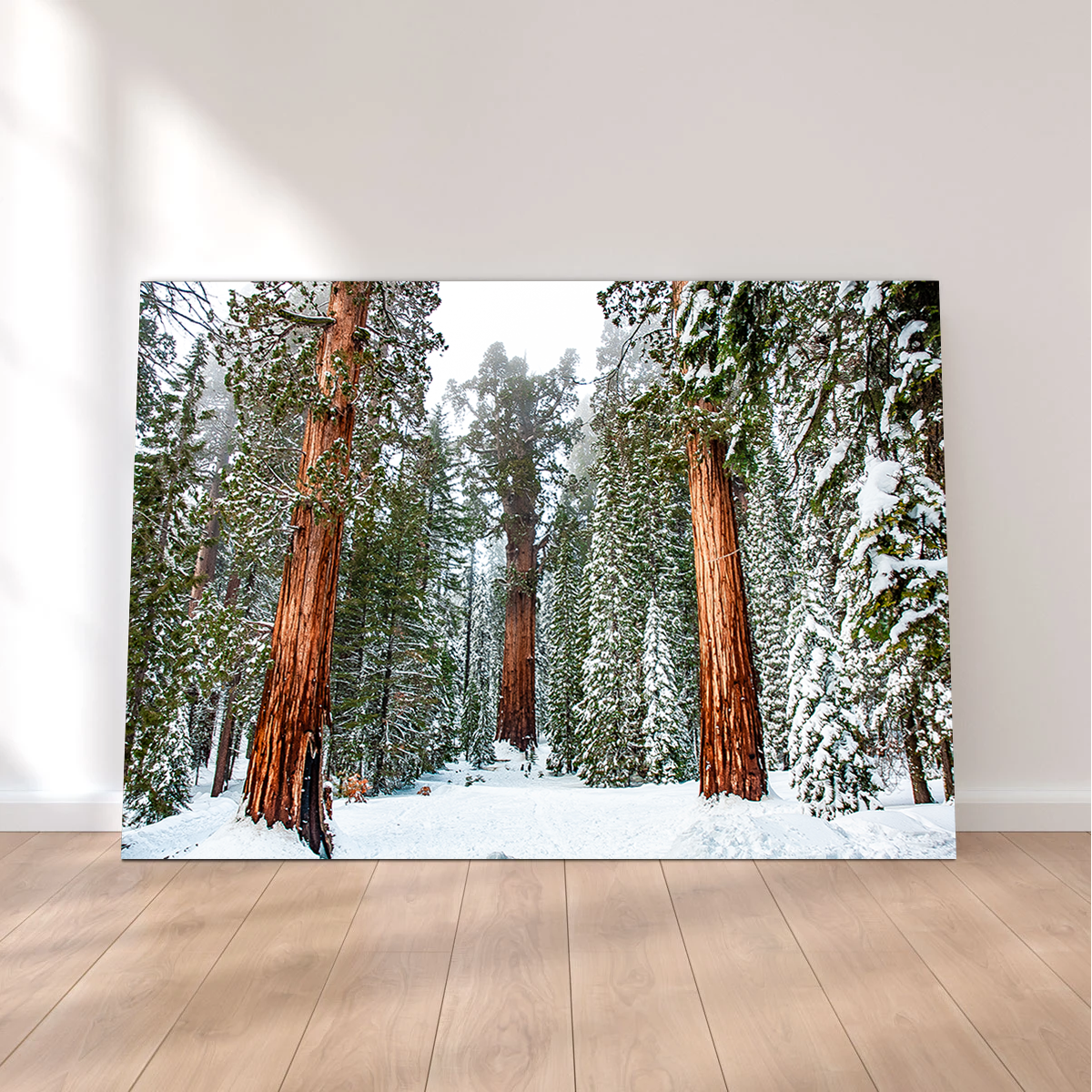 Kyle Sherry's Exquisite General Wall Art