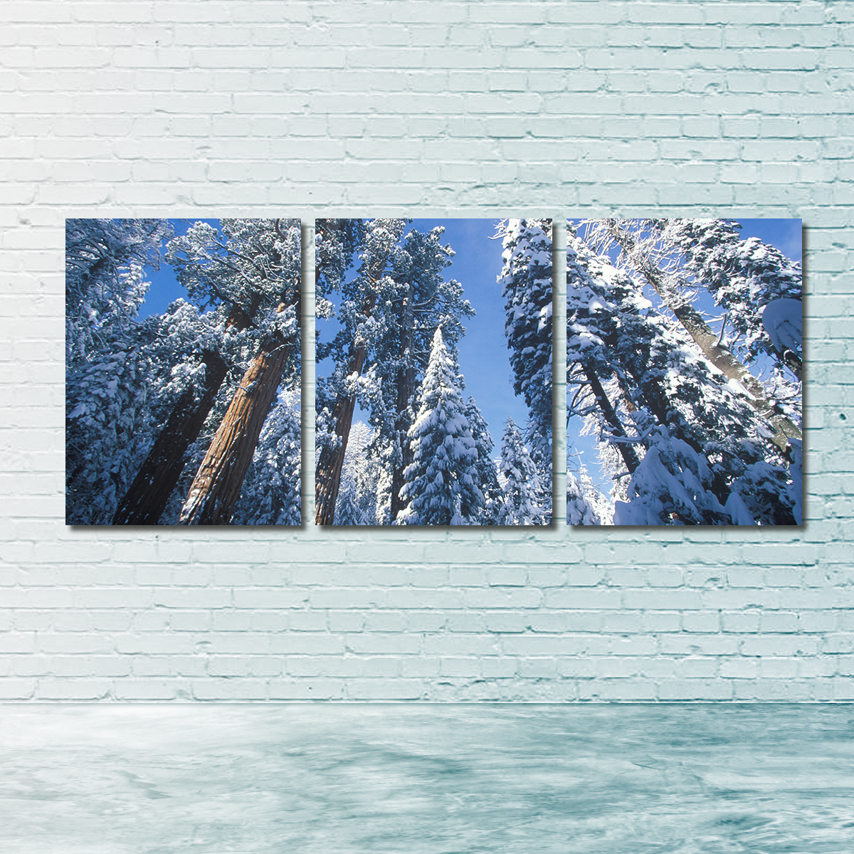 Breathtaking Redwoods Covered in Snow Wall Art for Your Home