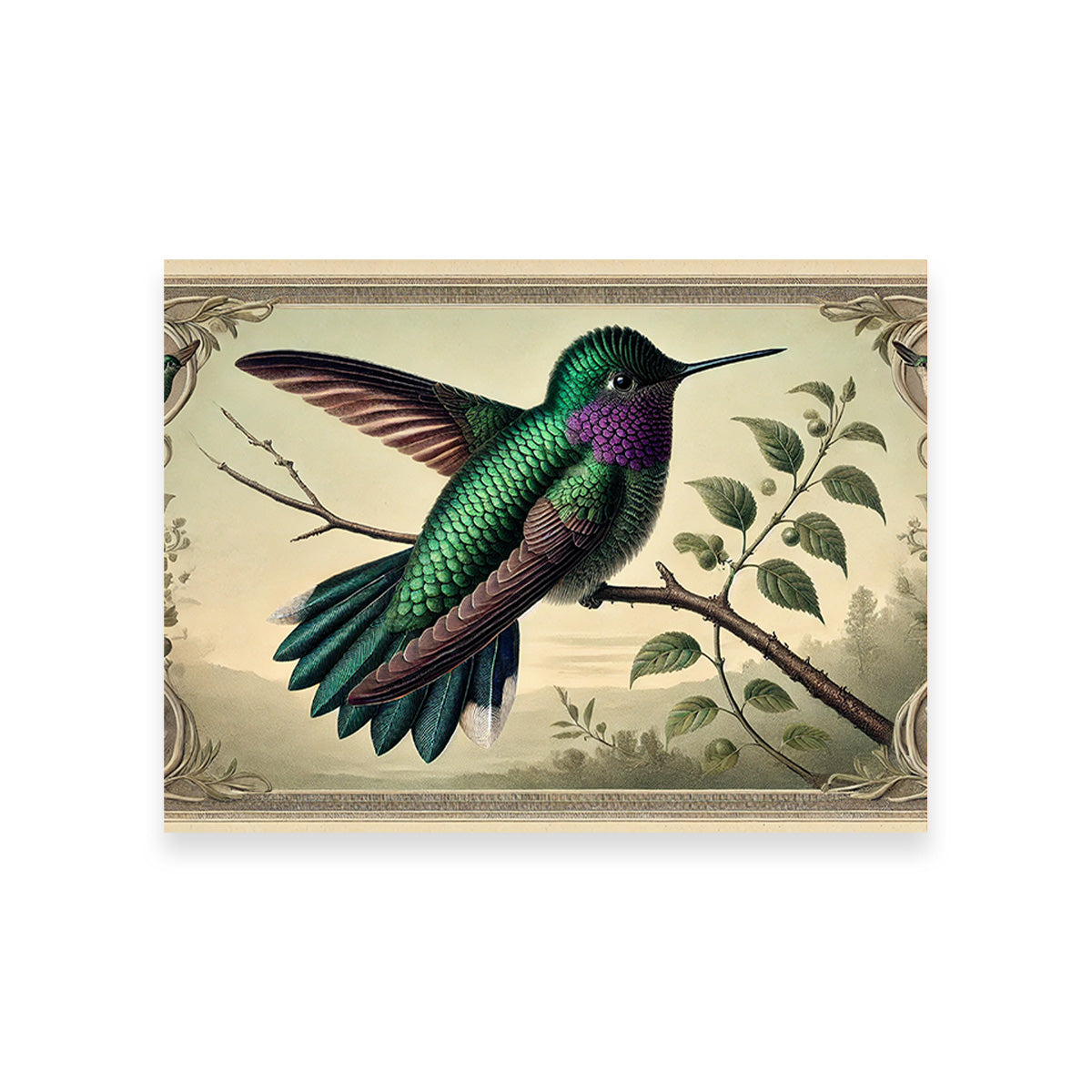 Stunning JJ Audubon's Style Hummingbird Print Wall Art for Home Decor