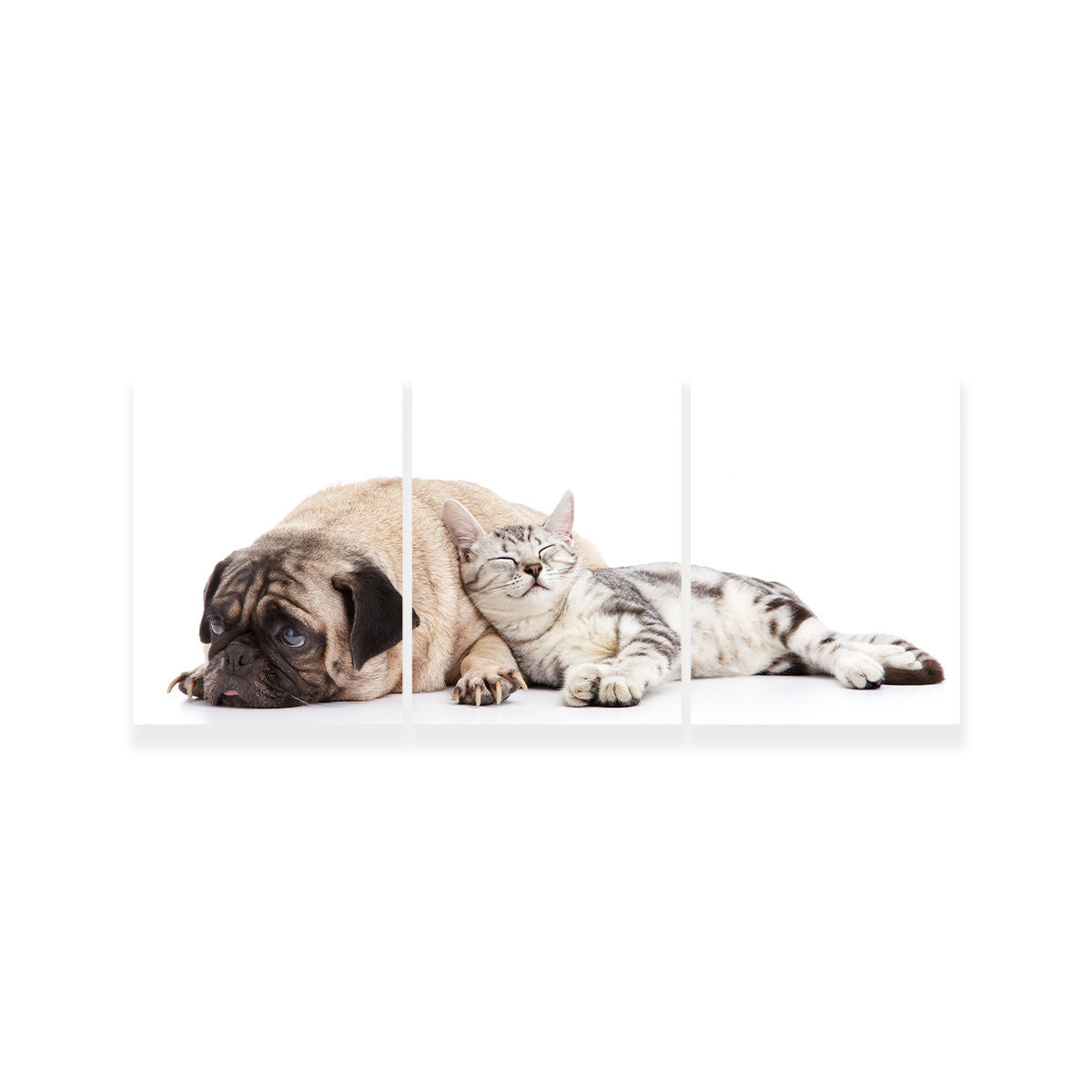 Adorable Pug and Cat Wall Art for Home Decor