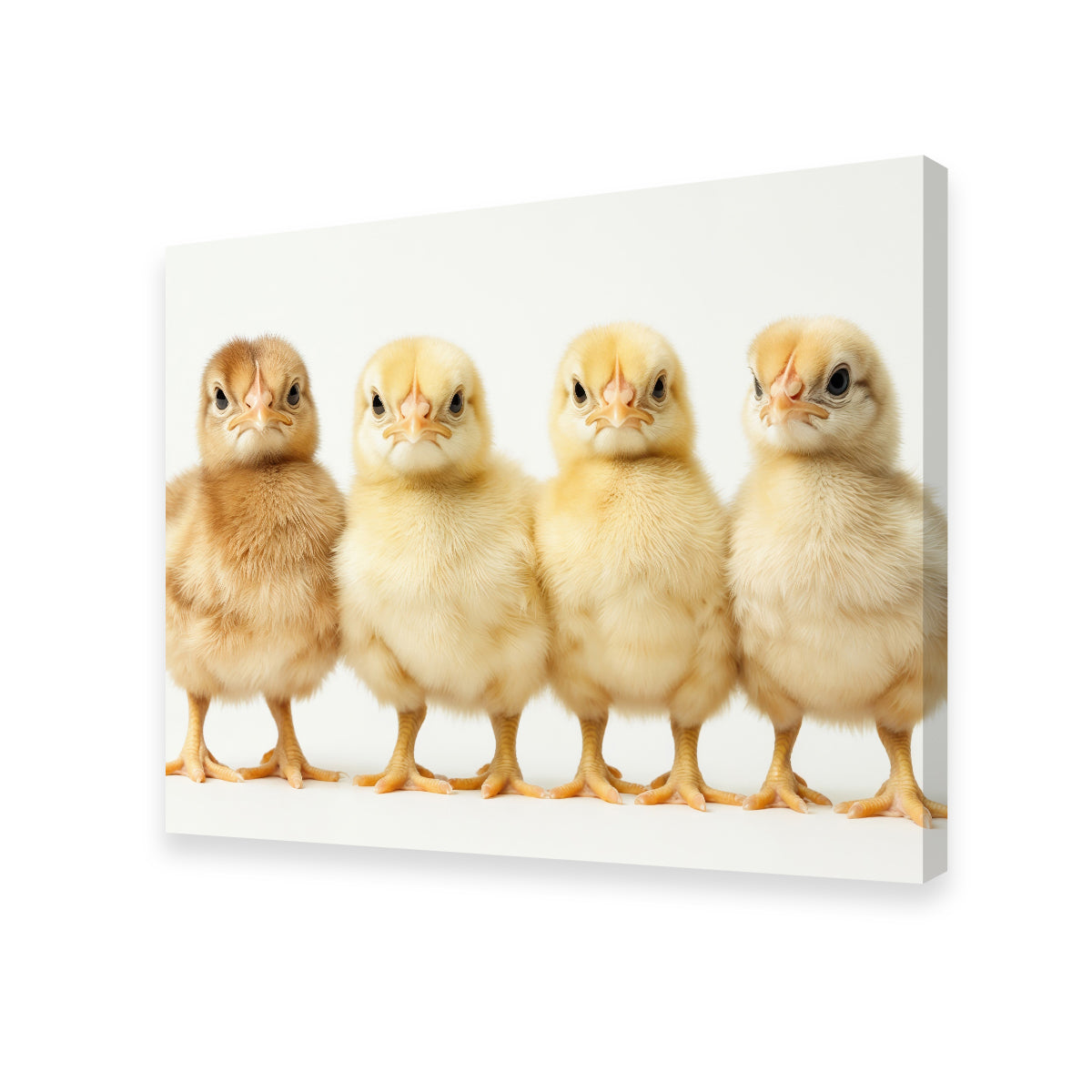 Adorable Four Baby Chickens Wall Art for Your Home Decor