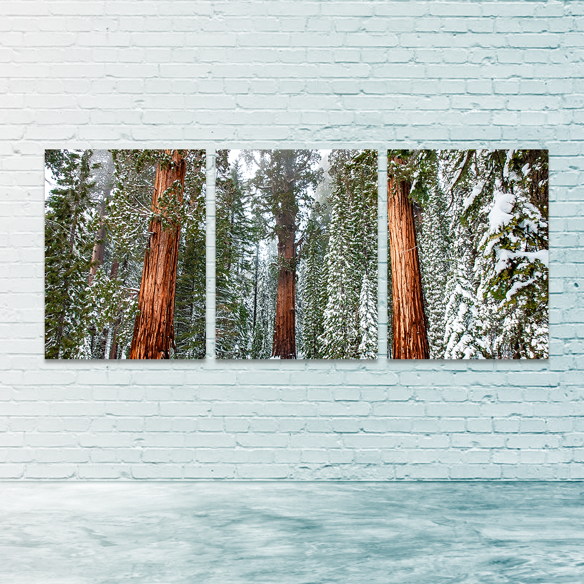 Kyle Sherry's Exquisite General Wall Art