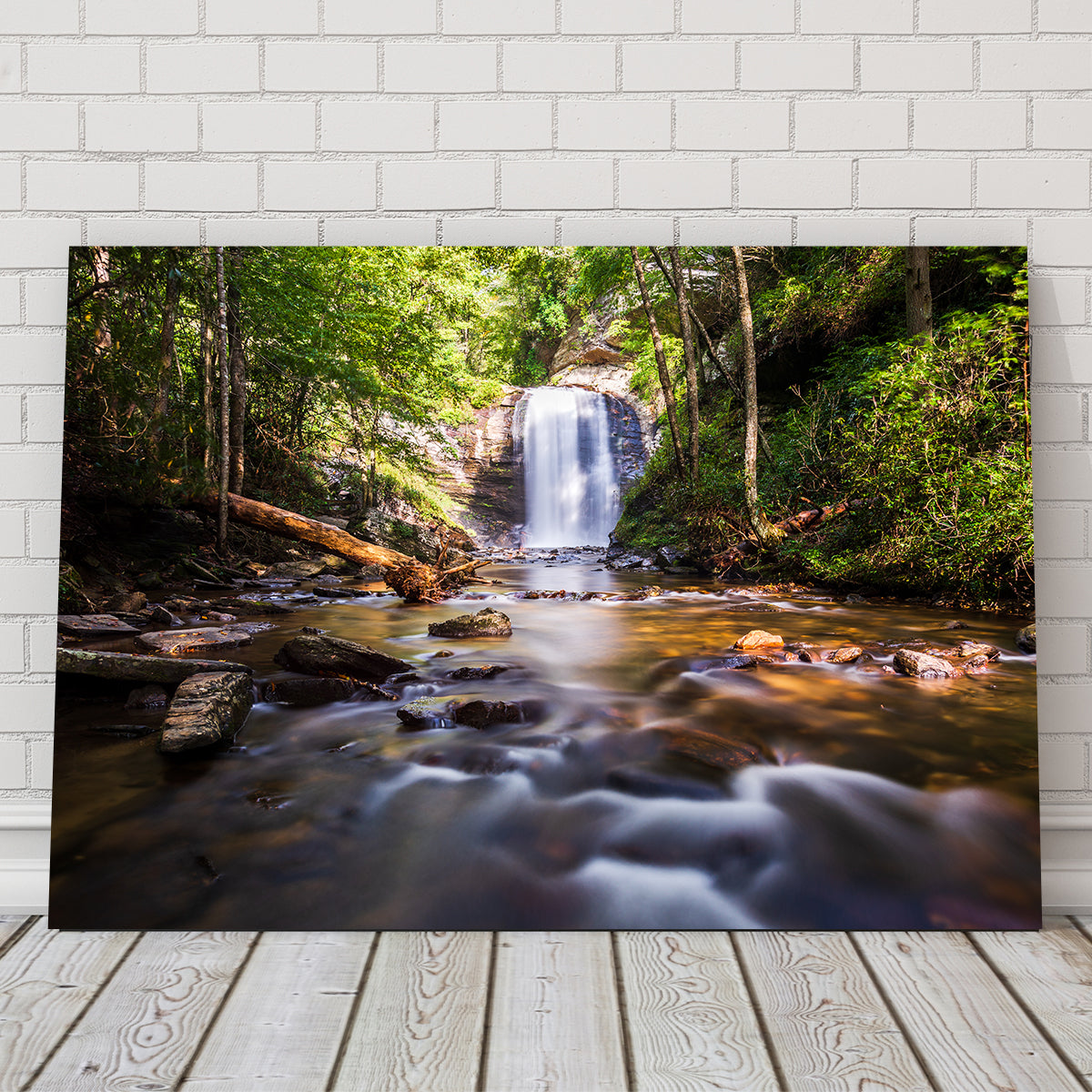 Looking Glass Falls, North Carolina Stunning Wall Art by Barry Pack