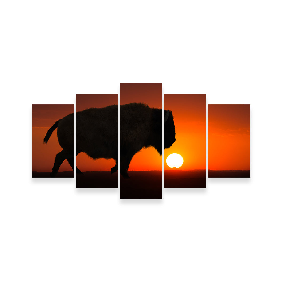 Stunning Bison at Sunset Wall Art for Your Home Decor