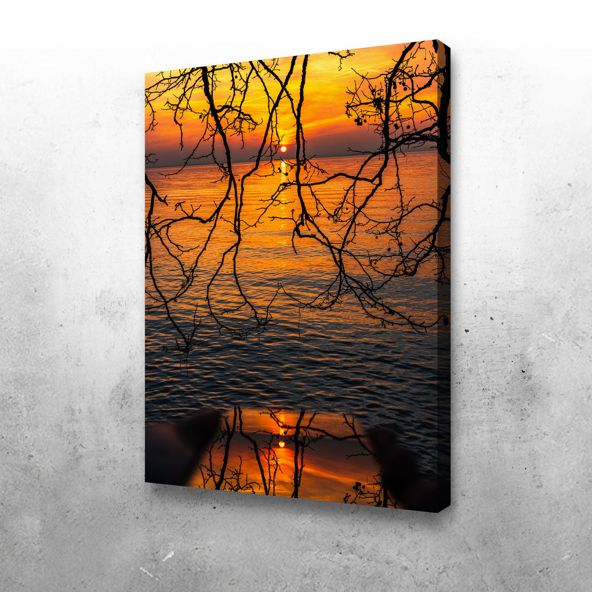Captivating A Game of Reflections Wall Art by Stefano Baltieri