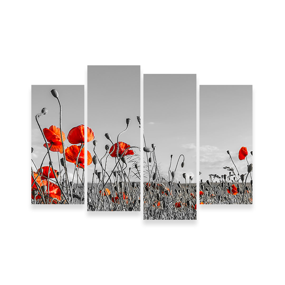 Gorgeous Lovely Poppy Field Wall Art for Home Decor