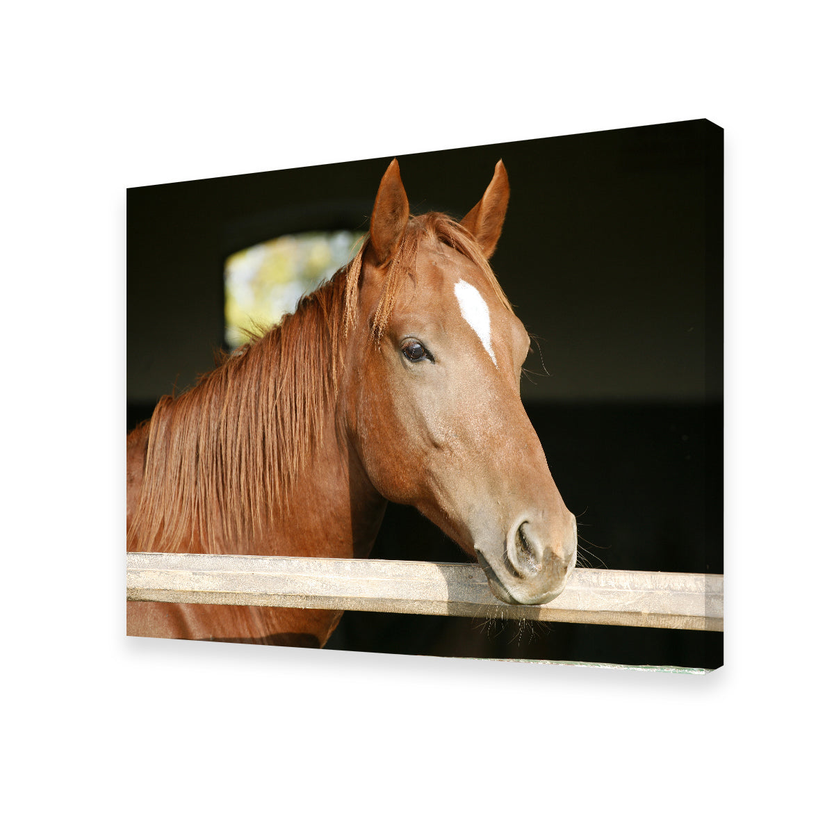 Stunning Chestnut Horse Wall Art for Home Decor