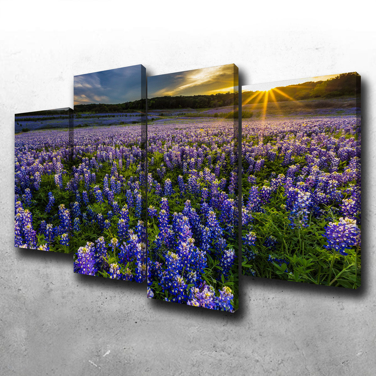 Gorgeous Texas Bluebonnet Field at Muleshoe Bend Wall Art for Home Decor