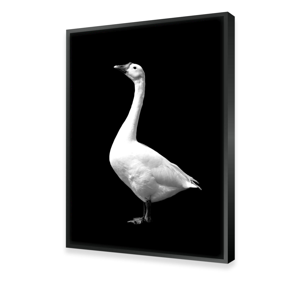 Stunning Goose Wall Art by Lawisi