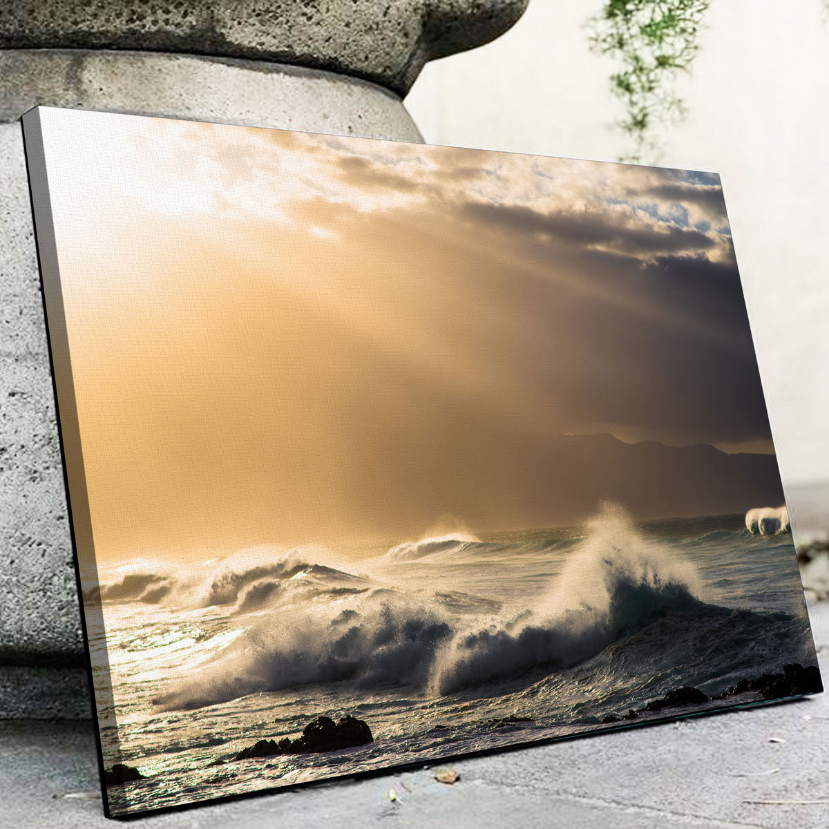 Enchanting Light in Darkness Wall Art by Lucas Moore