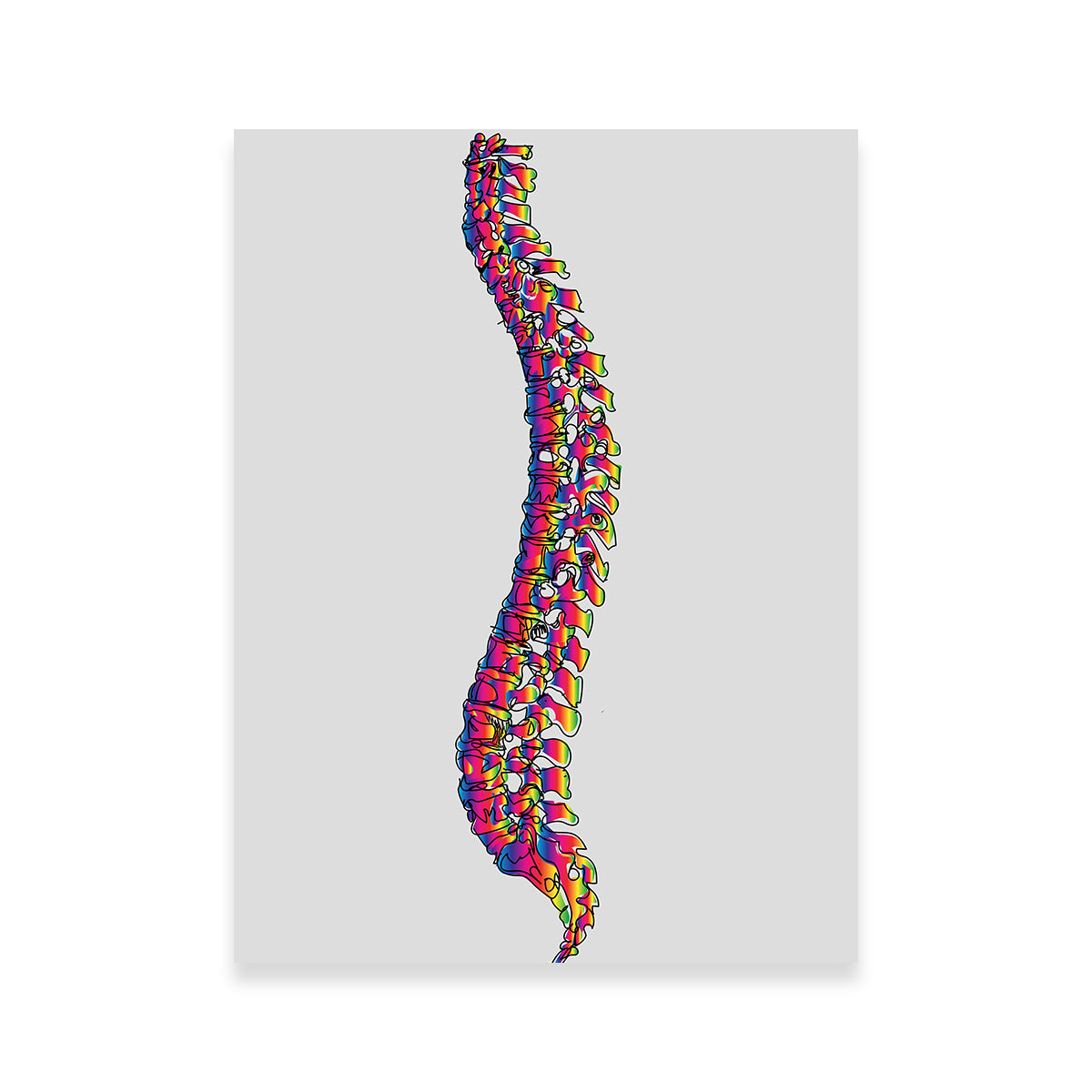 Exquisite Spine Drawing Wall Art for Stunning Interior Decor