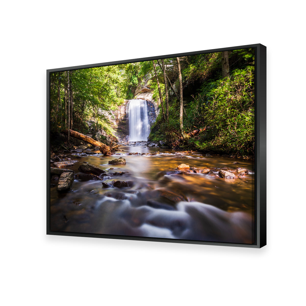Looking Glass Falls, North Carolina Stunning Wall Art by Barry Pack