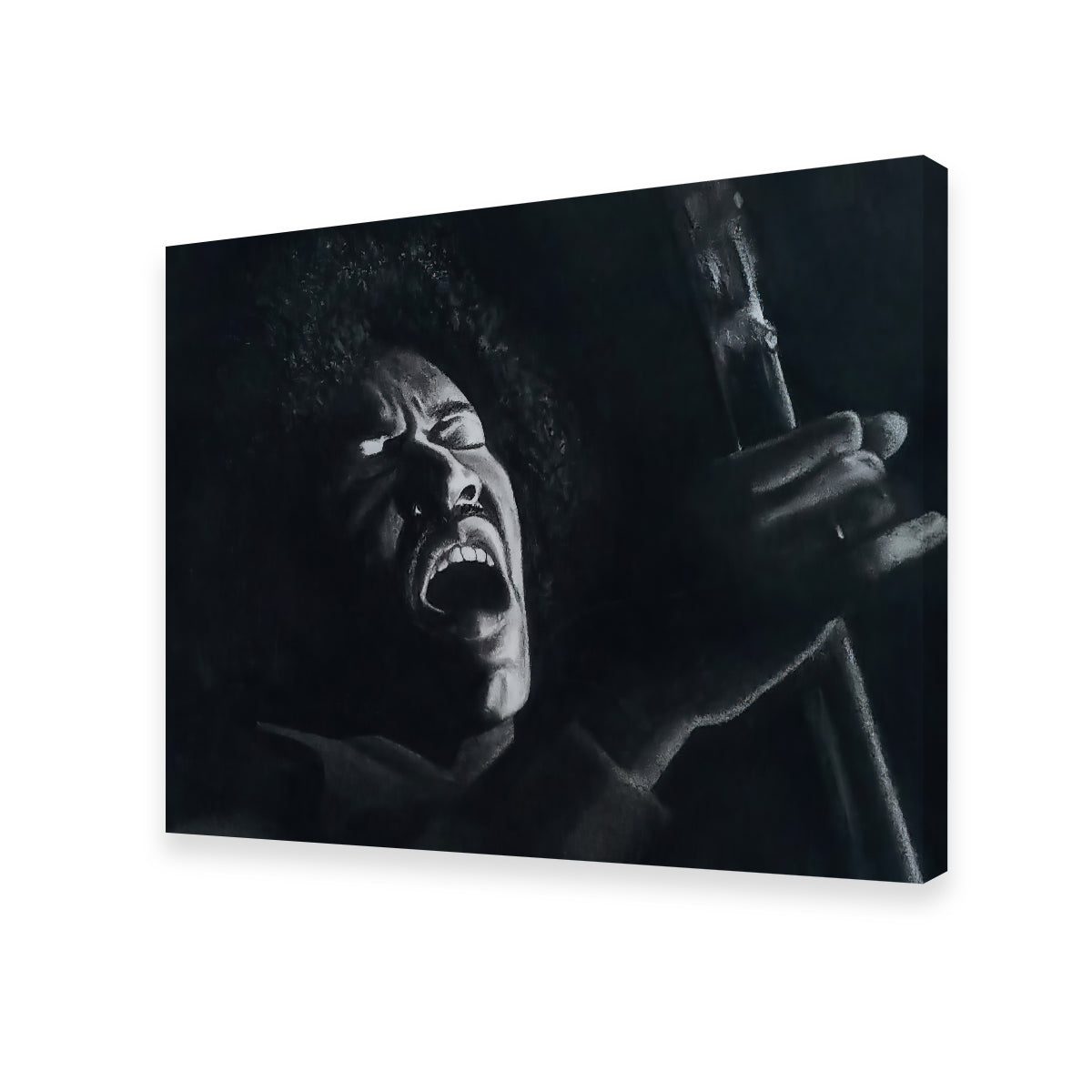 Stunning Jimi Wall Art by Patricia Jaggie